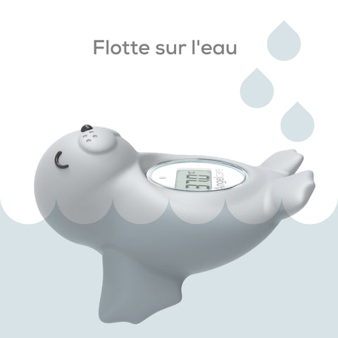 Room-thermometer-7-CA-FR