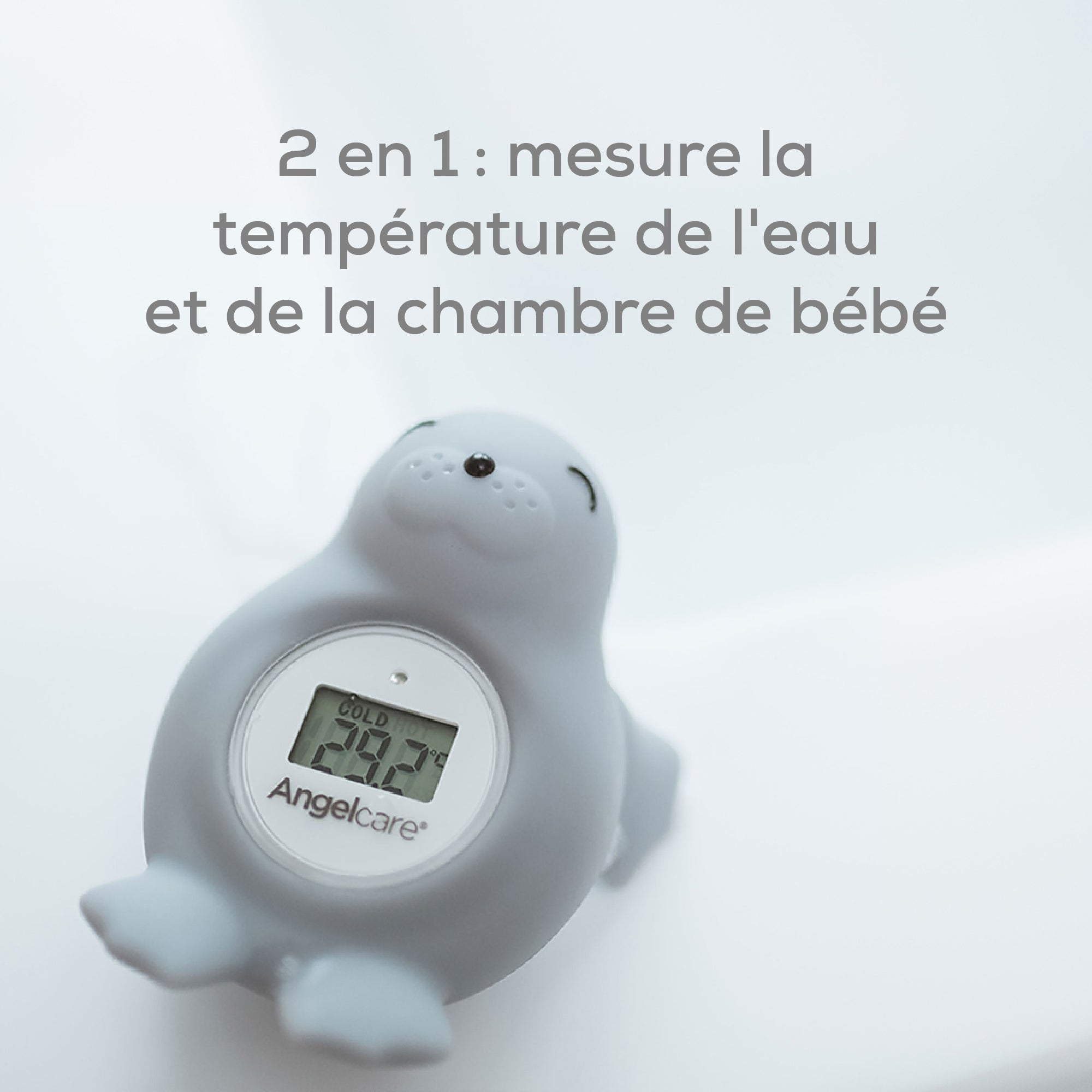Room-thermometer-9-CA-FR
